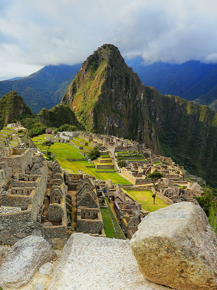 Adultos - Perú