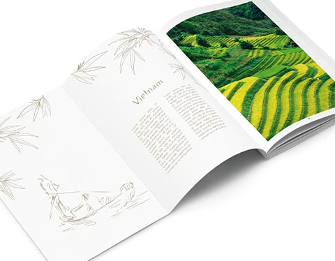 Mockup Vietnam